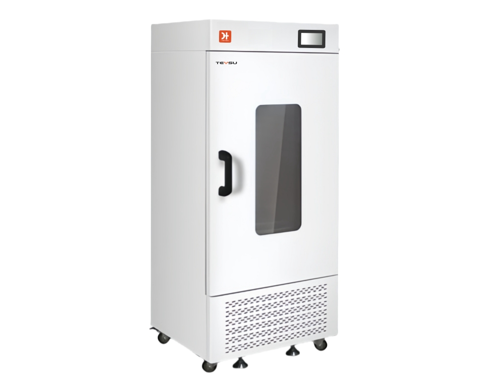 ������ʎ���B��